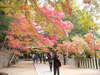 錦秋の湖東三山と永源寺    _c0076218_016381.jpg