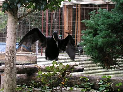 f0004019_2350376.jpg