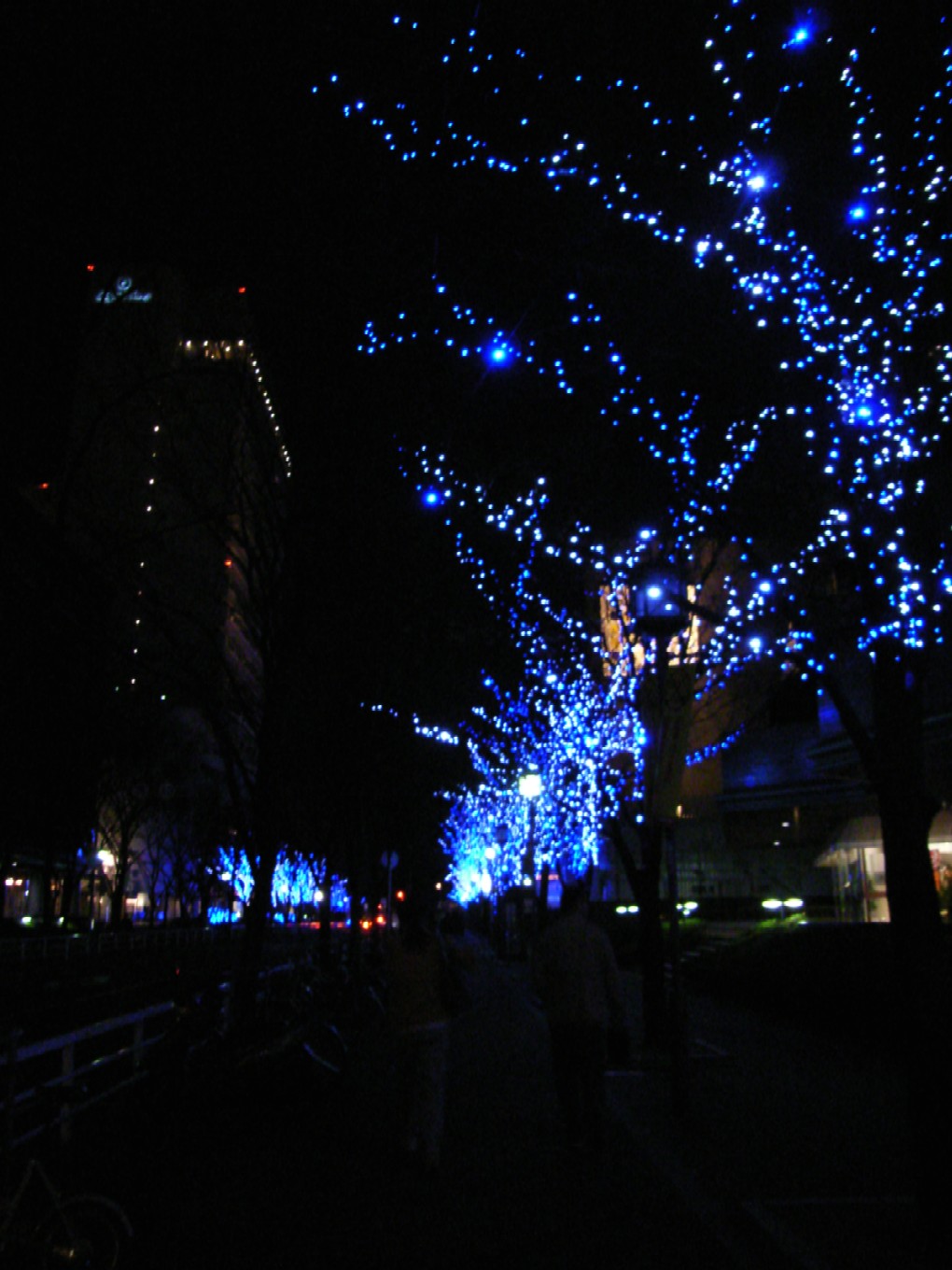 京都・大阪旅 2日目 その4_d0091021_22353668.jpg