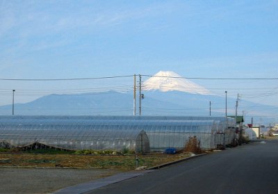 d0031624_2025698.jpg