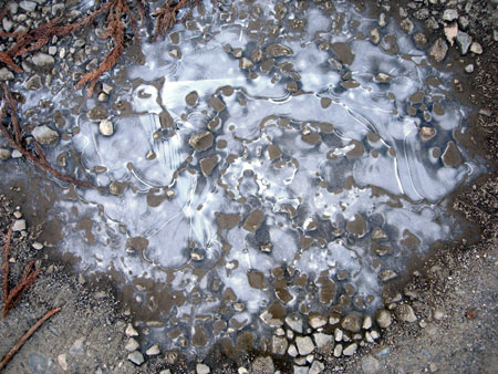 e0097534_1523292.jpg