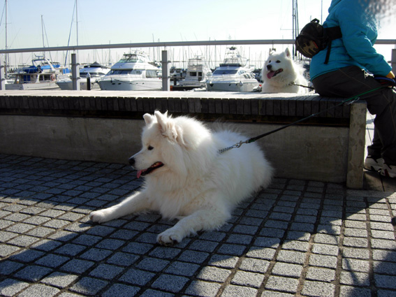 c0035838_1775130.jpg