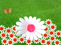 2007年1月10日(水) お花の正体_e0005548_138173.gif