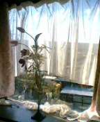 f0084048_2317504.jpg