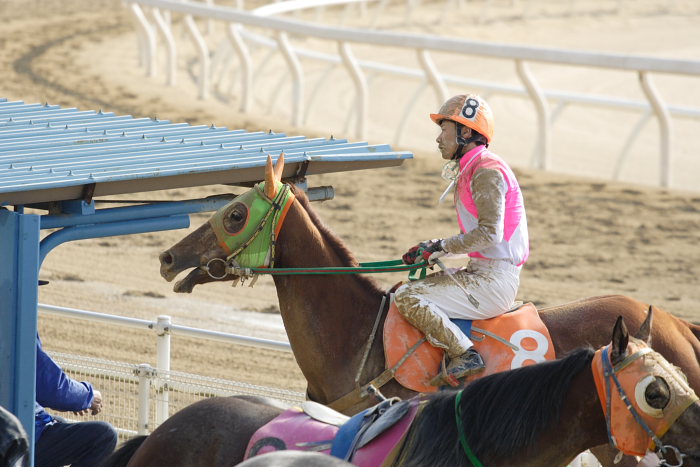 2007年1月8日（月） 福山競馬 6R 福山・こうちスタージョッキーシリーズ 2日目 第1R レース後_a0077663_18303136.jpg