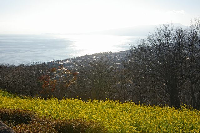 e0070891_2101138.jpg