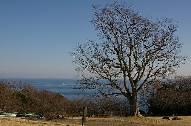 e0070891_2102770.jpg