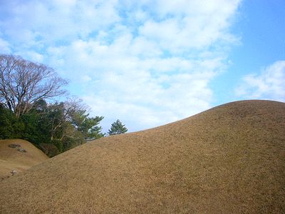 熊本紀行その②　鳥と緑といきなり団子_f0077194_17552985.jpg