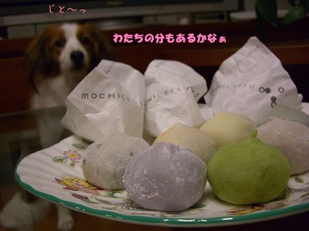 出かける前のヒトコマ_c0065512_2315337.jpg