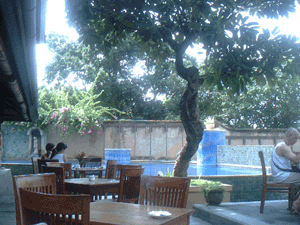 d0038319_1852255.gif