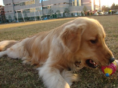 f0035927_22402295.jpg