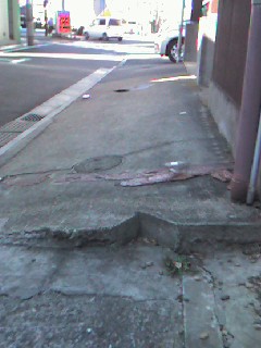 東山町の「歩道」の改修を要請_d0046141_21261429.jpg