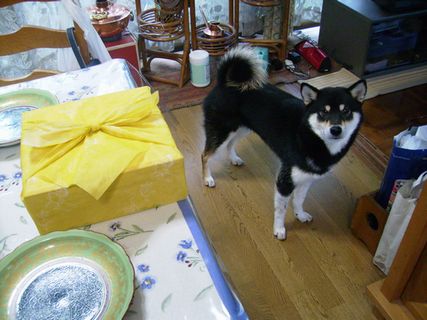 f0058241_2142050.jpg