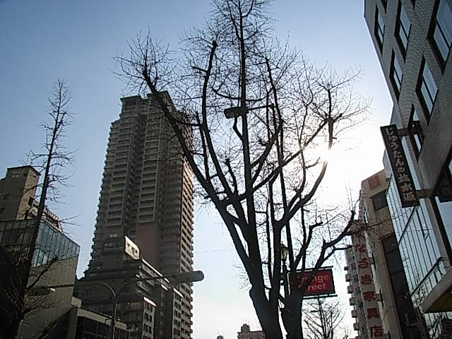 f0040342_19135492.jpg