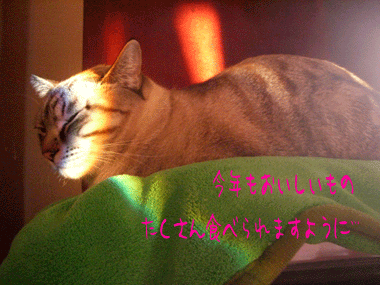 b0039168_2215539.gif