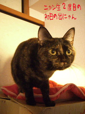 b0039168_22225043.gif