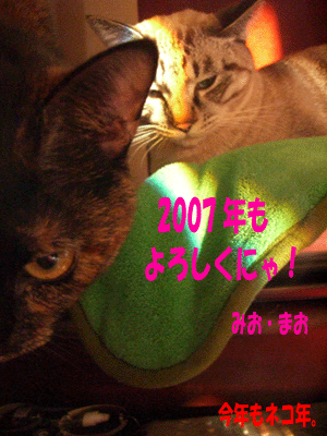 b0039168_22245833.gif