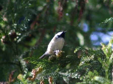 f0061869_20382268.jpg