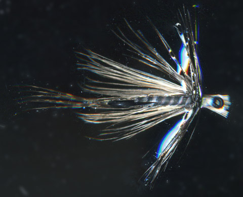 フライタイイング セッション2007 一から出直し修業的毛鉤釣 フライタイイング セッション2007 一から出直し修業的毛鉤釣