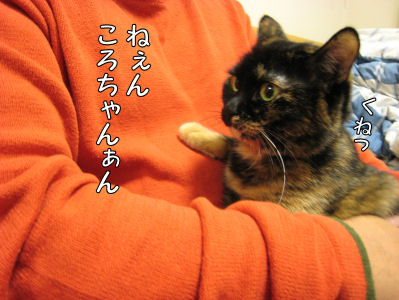 a0045990_0162185.jpg