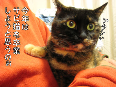 a0045990_0173512.jpg