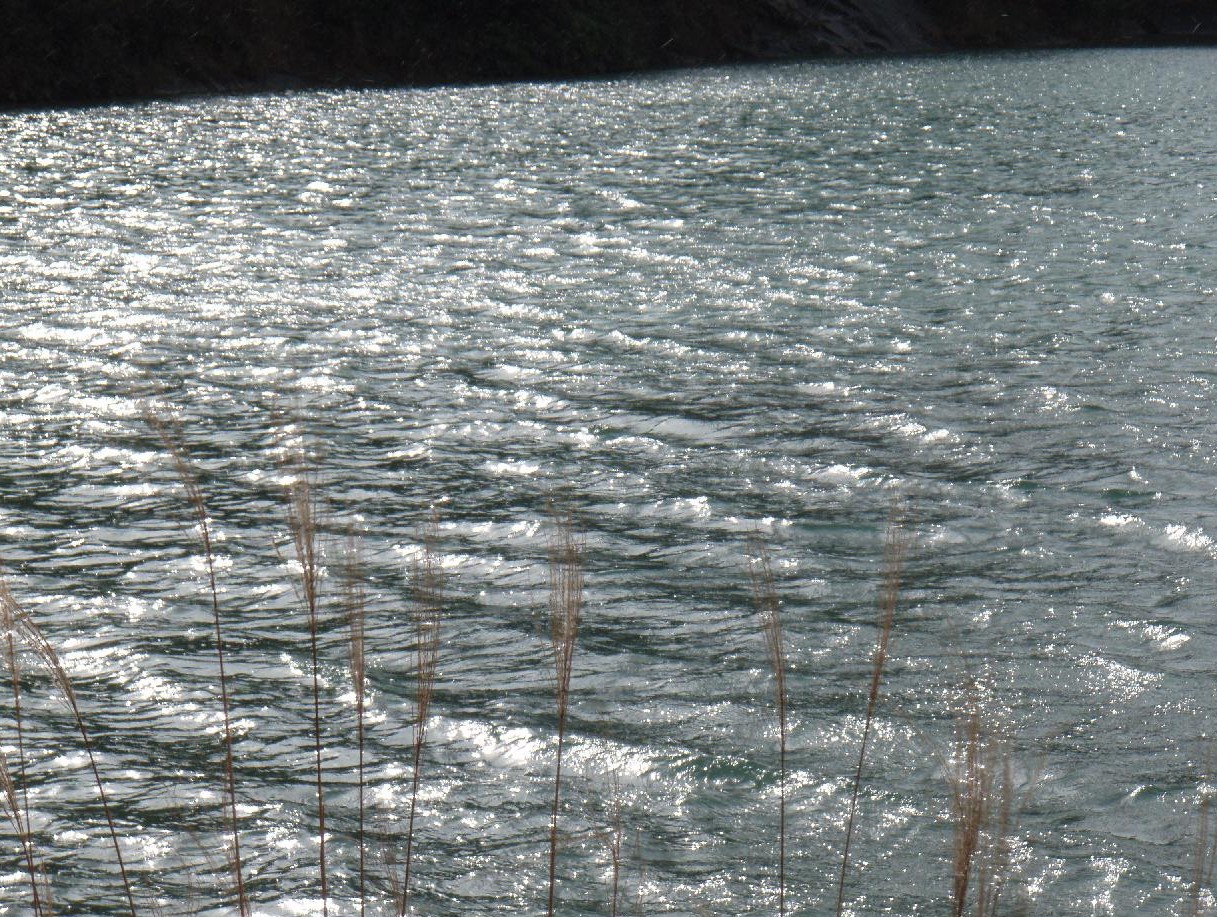 d0051106_7531998.jpg
