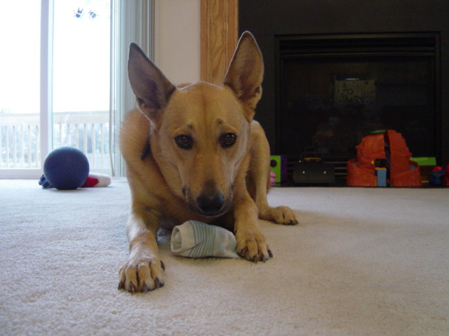 c0079011_1123058.jpg