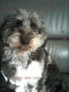 a0049614_7593693.gif