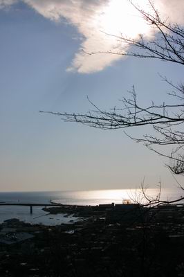 d0019719_22314.jpg