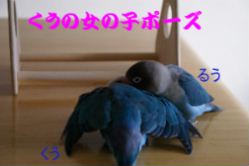 e0021121_1274392.jpg