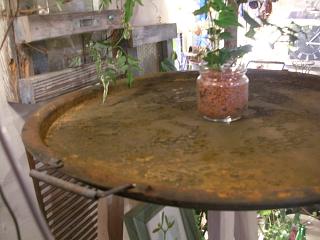 c0102228_2059878.jpg
