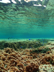 b0100730_2150075.jpg