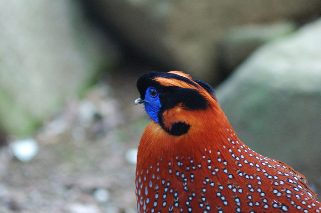 動物園(ラスト)_f0109432_0553896.jpg