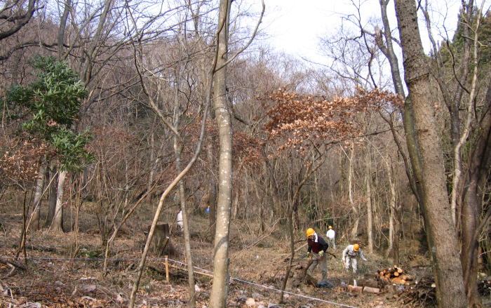e0049740_22252292.jpg