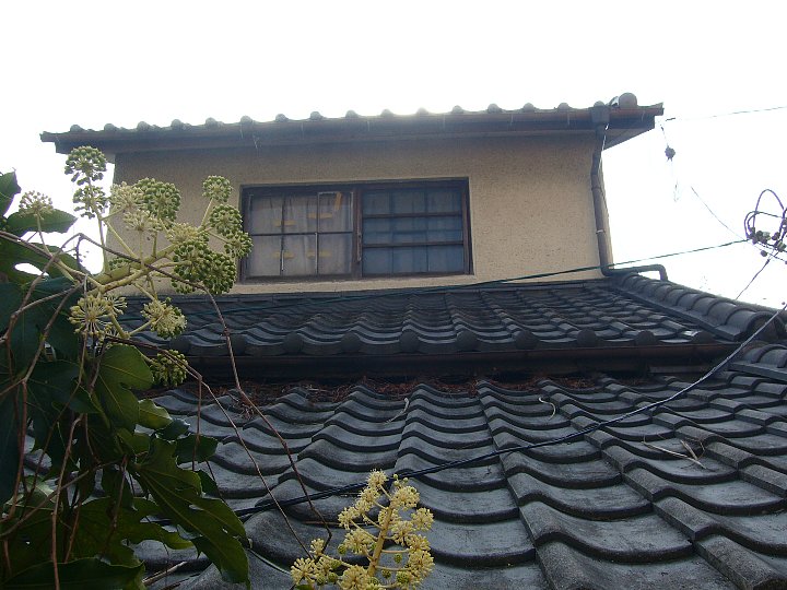 日本福音 ルーテル大牟田教会_c0094541_10441130.jpg