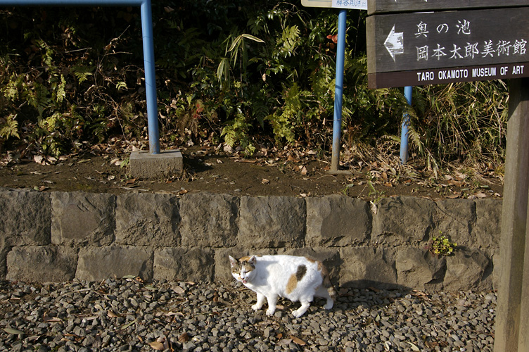 広福寺・川崎市立民家園_d0100156_22201943.jpg