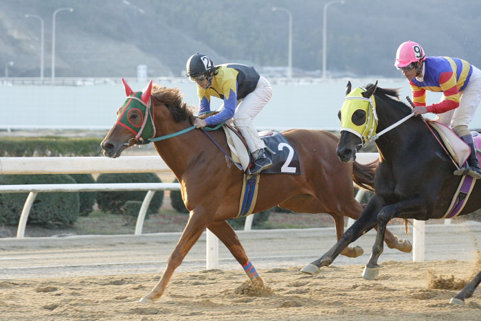 2007年1月8日（月） 福山競馬 10R 成人の日特別_a0077663_19203161.jpg