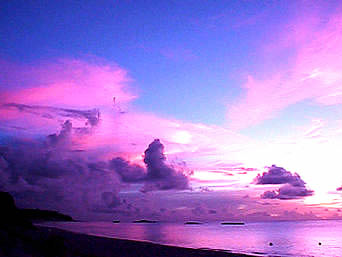d0083265_13583338.jpg