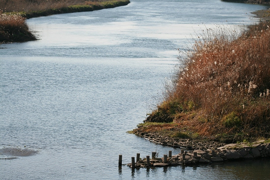 d0102968_810896.jpg