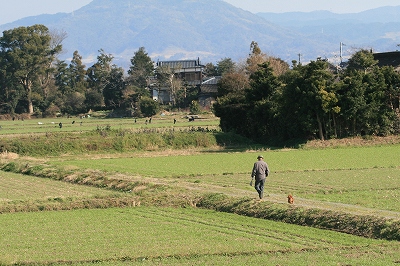 d0102968_81721.jpg