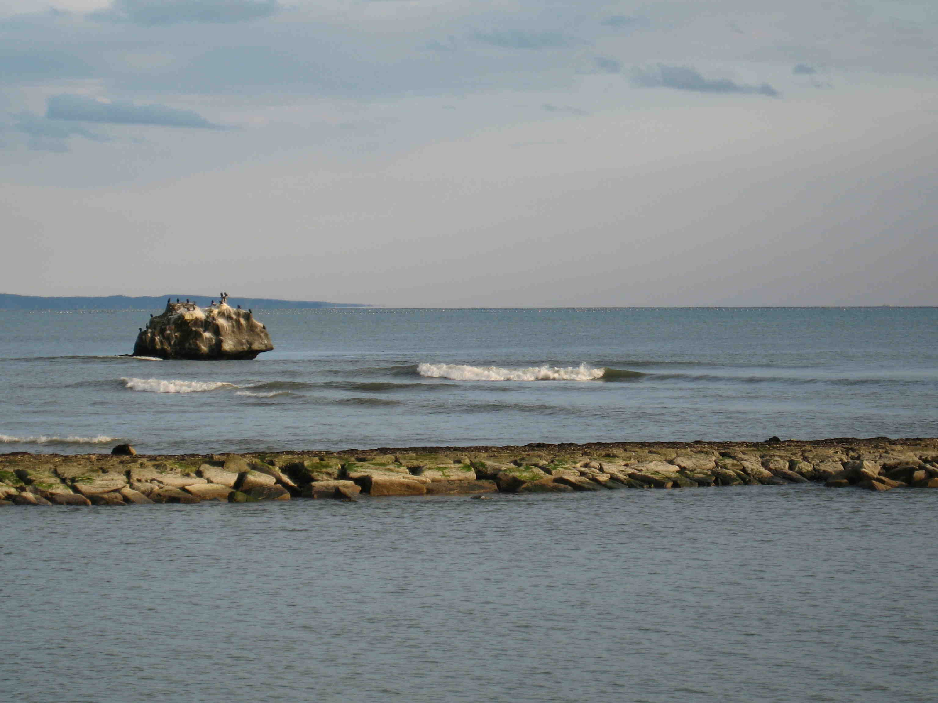 d0085470_1844910.jpg