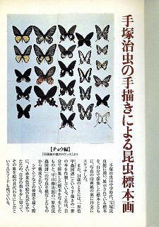 有名な漫画家 手塚治虫 と関係がある甲虫 オサムシ 蝶 チョウ ゆっくり歩き 千蟲譜物語