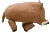 e0048888_1734413.gif