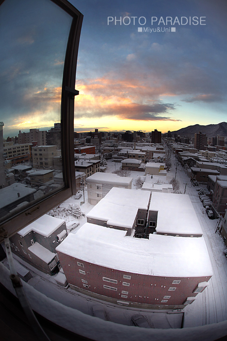 窓からの風景･冬_a0039489_131462.jpg