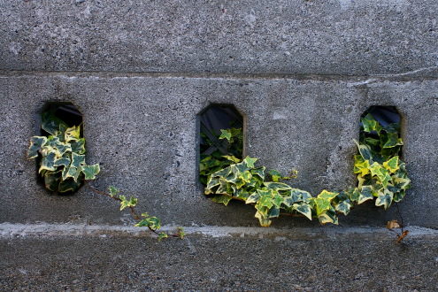 雑司が谷を歩く・路上観察_b0053019_202484.jpg