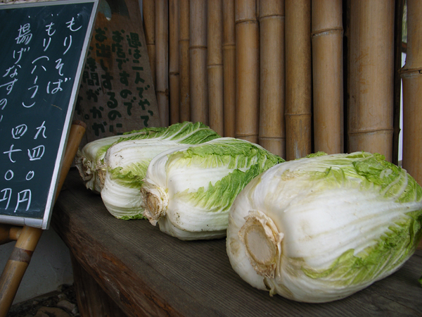 北杜市高根町手打ちそば屋「いち」_f0081726_21929.jpg