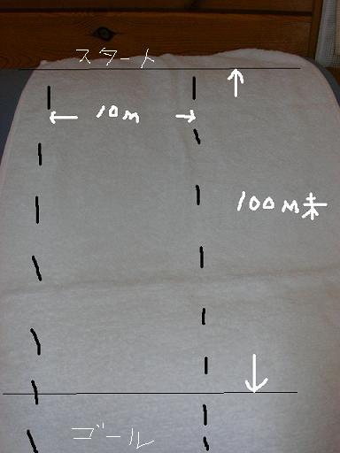 e0089227_1957502.jpg