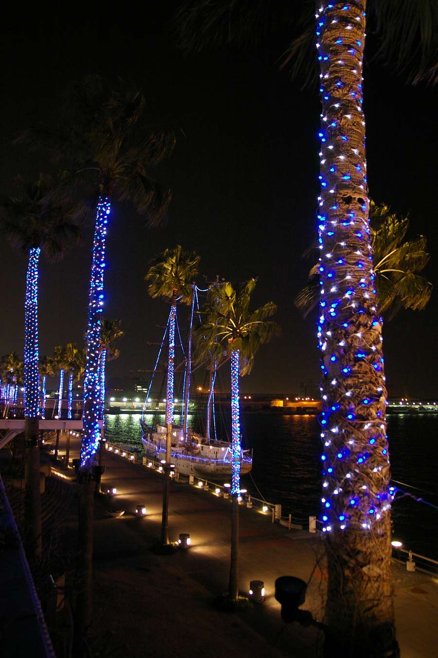 b0069128_2175137.jpg