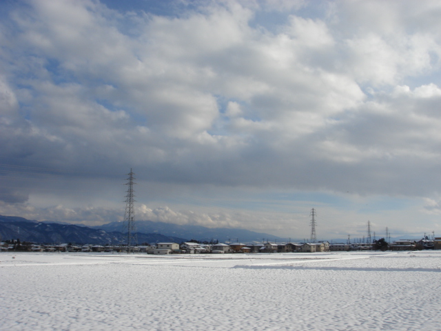 一月の散歩道_a0014840_2146318.jpg