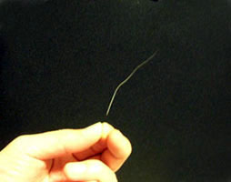 c0096342_14132393.jpg